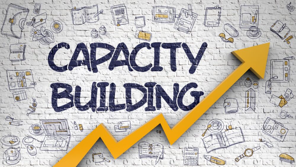 capacity-building