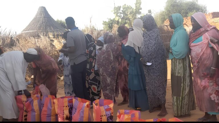 Report on the Distribution of Humanitarian Aid in Al-Liqawe Camp – East Darfur State, Al-Daein, December 23, 2024