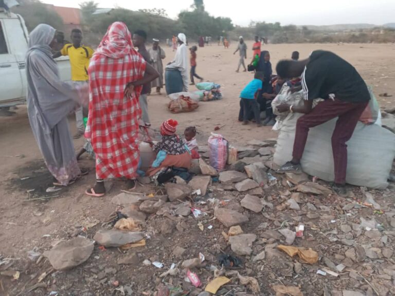 Report on the Arrival of Displaced Persons from El Fasher and Kabkabiya Locality in North Darfur State to Jebel Marra Areas and Sortony Camp, and the Escalation of Malnutrition at Kalma Camp